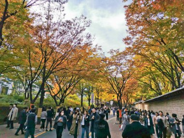 SEOUL, Güney Kore - 26 Ekim 2022: Deoksugung Sarayı Duvarı 'nda sonbaharda sokağın kenarında yaprak ağaçlarıyla yürüyen birçok insan.