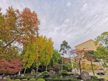 SEOUL, Güney Kore - 26 Ekim 2022: Sonbaharda Deoksugung Sarayı 'nın modern ofis binaları ile renkli yeşillikler.