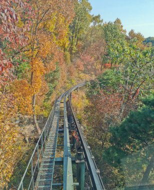 SEOUL, Güney Kore - 27 Ekim 2022: Hwadam Ormanı Botanik Bahçesi Red Orange akçaağacına giden küçük servis aracı metal tren yolu ormanın derinliklerinde güzel sonbahar yaprakları manzaralı ağaçlar bırakır.