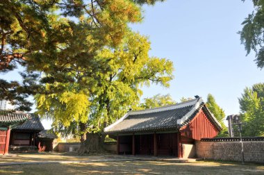 Geleneksel Kore Hanok Köyü binaları eski ahşap kapılı ve Seul, Güney Kore 'de öğleden sonra büyük ağaçlı.