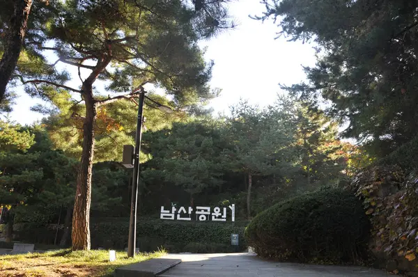 Сеул Южная Корея Октября 2022 Гора Намсон Парк Утром Различными — стоковое фото