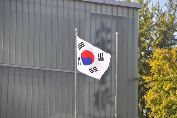 Korejská Národní Vlajka Taegeukgi Vlaje Před Budovou Parku Podzim — Stock fotografie