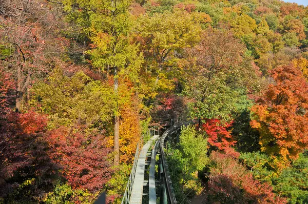 Seoul South Korea Outubro 2022 Hwadam Forest Botanic Garden Pequeno — Fotografia de Stock