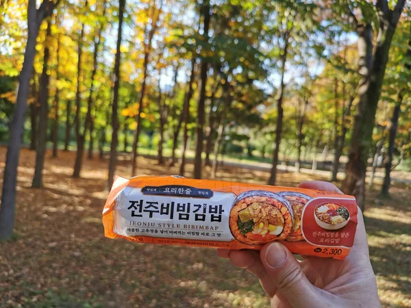 서울특별시 대한민국 2022년 10월 25일 아름다운 숲에서 유명한 전통적인 한국식 — 스톡 사진