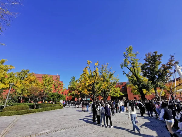 南韩首尔10月25日电 2022年10月25日 韩国公民马龙尼耶公园与许多韩国人一起 在晴朗的下午站在公园中 秋天的蓝天站在公园中 — 图库照片