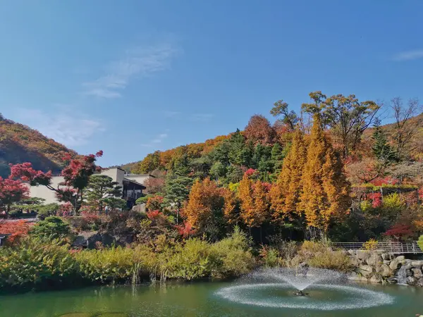 Seoul Jižní Korea Října 2022 Hwadamský Les Botanický Zahradní Jezírko — Stock fotografie