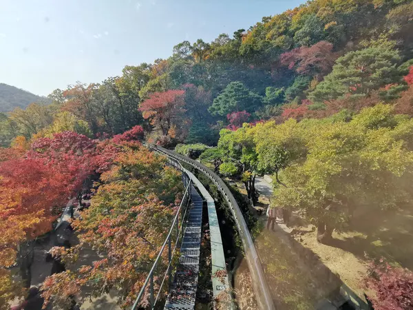 Seoul Νοτια Κορεα Οκτωβριου 2022 Δάσος Hwadam Βοτανικός Κήπος Μικρό — Φωτογραφία Αρχείου