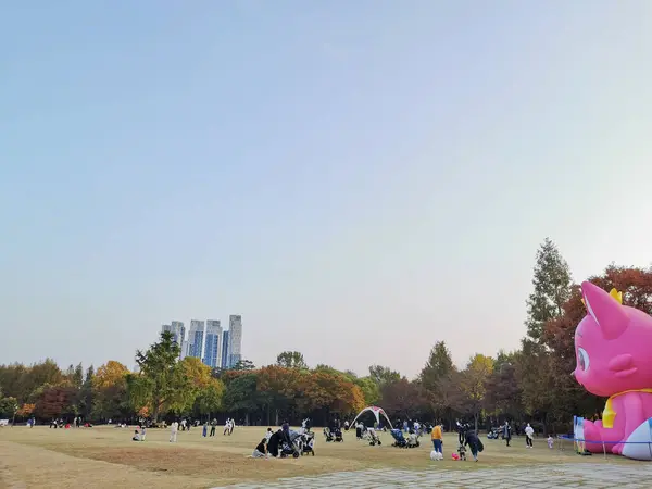 ソウル ソウトコリア October 2022 フォールマップルが付いているビッグピンクの猫は ソウルフォレストパークで葉を残します 夕方には公園を散歩する人がたくさんいます — ストック写真