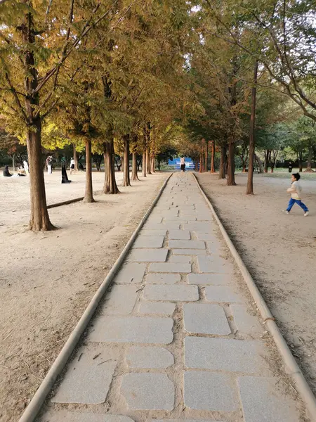 Seoul Νοτια Κορεα Οκτωβριου 2022 Μικρός Πέτρινος Διάδρομος Και Φύλλα — Φωτογραφία Αρχείου