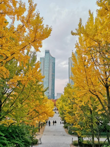 Seoul Südkorea Oktober 2022 Treppenhaus Mit Ahornblättern Seoul Forest Park — Stockfoto