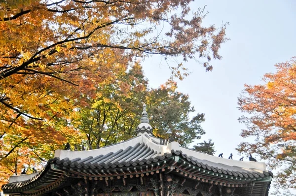Seoul South Korea Outubro 2022 Telhado Pagode Tradicional Com Folhas — Fotografia de Stock
