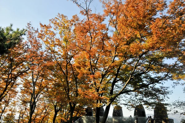 韓国の伝統的な旧市街の壁とオーロラムの葉 南山の葉 — ストック写真