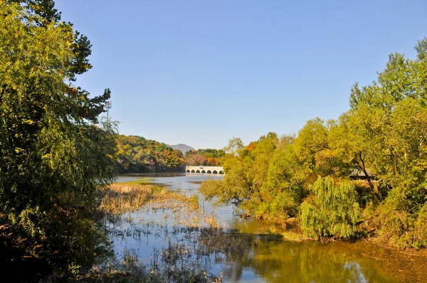 Most Jezero Listnatými Listy Oranžové Zelené Barvě Hlubokém Podzimním Lese — Stock fotografie