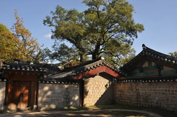 Традиционные Корейские Ханок Деревня Зданий Старой Деревянной Дверью Большими Деревьями — стоковое фото