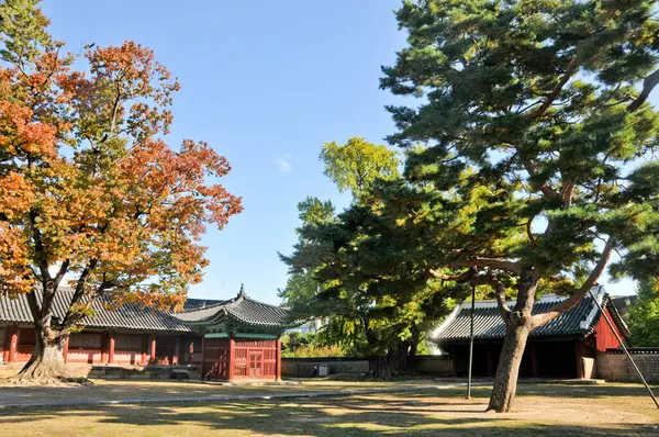 Traditionelle Koreanske Hanok Village Bygninger Med Gammel Træopbevaring Store Fyrretræer - Stock-foto