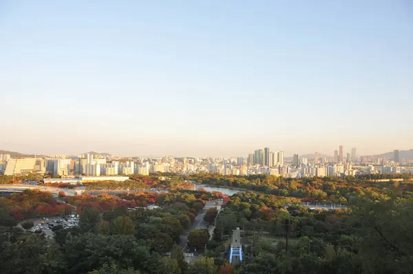 Seoul South Korea Oktober 2022 Färgglada Lövträd Hösten Med Olika — Stockfoto