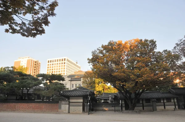 서울특별시 대한민국 2022년 10월 25일 전통적인 하나옥 건물이 평온하고 조용한 — 스톡 사진