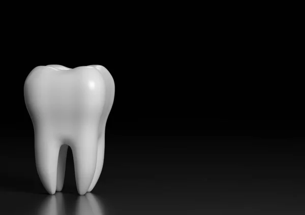 Zahnmodell Des Prämolarenzahns Auf Schwarzem Hintergrund Konzept Der Zahnärztlichen Untersuchung — Stockfoto