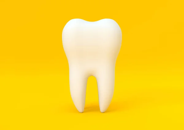 Modelo Dental Diente Premolar Sobre Fondo Amarillo Concepto Odontología Salud — Foto de Stock