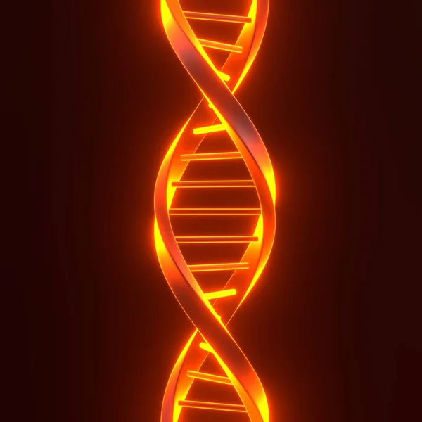 DNA with bright glowing futuristic orange neon lights on black background. 3D render illustration