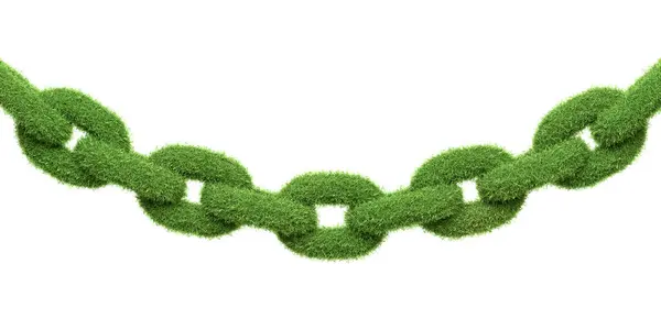 Chaîne Faite Herbe Verte Dynamique Représentant Des Concepts Connexions Écologiques — Photo