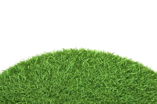 Perfectly Shaped Mound Vibrant Green Grass Creating Small Hill Symbolizing — Stock Photo, Image