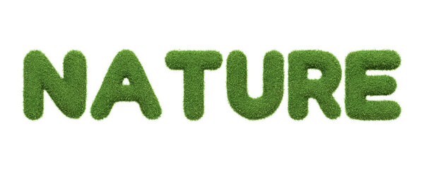 The word NATURE displayed in a rich green grass texture, symbolizing the essence of the natural world and environmental themes, isolated on a white background. 3D Render illustration