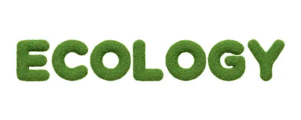 白い背景に隔離された環境の研究と保護を強調し 新鮮な緑色の草の質でEcologyという言葉 3Dレンダリングイラスト — ストック写真