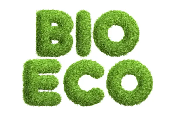 Woorden Bio Eco Gestileerd Een Groene Gras Textuur Symbool Voor — Stockfoto
