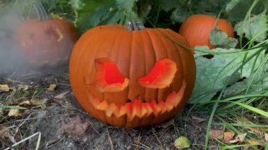 Cadılar Bayramı Balkabağı Jack O 'Lantern. Bahçesinde ışık var. Arka planda da balkabakları var. Sonbahar yaprakları yerde. Çimen, toprak, ateş ve sis. Hayalet dumanı.