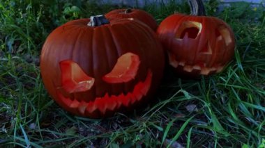 Dark Pumkin Jack O 'Lantern. Bahçesinde ışık var. Arka planda balkabakları var. Sonbahar yaprakları yerde. Çimen, toprak, ateş ve sis. Hayalet dumanı.