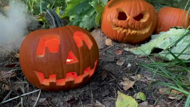 Cadılar Bayramı Balkabağı Jack Lantern Arka Planda Balkabaklarıyla Bahçede Sonbahar — Stok video