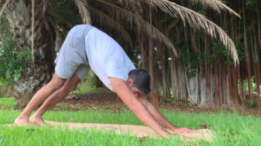 Hintli genç adam yoga eğitimi alıyor. Parkın minderinde spor salonu. Dışarıda. Sağlıklı olmak için rahatla. Yaz mevsiminde kanarya adalarında daha iyi hareket edebilme egzersizleri.