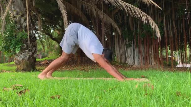 Hombre Joven Indio Entrenando Yoga Sesión Fitness Estera Parque Relajarse — Vídeo de stock
