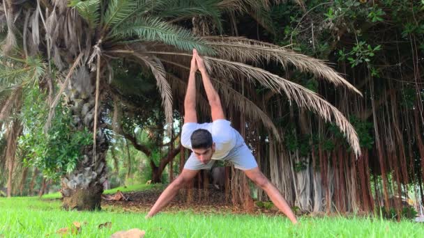 Hombre Joven Indio Entrenando Yoga Sesión Fitness Estera Parque Relajarse — Vídeo de stock