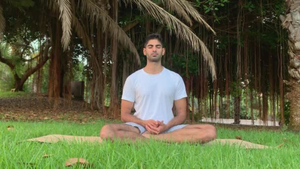 Ung Indianman Övar Andningsteknik Session Yogamatta Parken Utomhus Koppla För — Stockvideo
