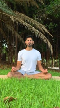 Hintli adam nefes alma teknikleri uyguluyor. Parktaki yoga minderi üzerine meditasyon seansı. Dışarıda daha sağlıklı olmak için rahatla. Konsantrasyon egzersizleri yazın kanarya adalarında yapılır..