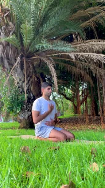 呼吸技術を実践するインド人男性 公園でのヨガマットの瞑想セッション より良い健康のために屋外のリラックス カナリア諸島の夏時間の朝の集中演習 — ストック動画