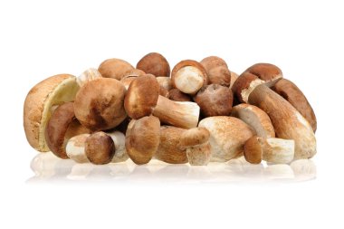 Beyaz arka planda Porcini mantarları (Boletus edulis).