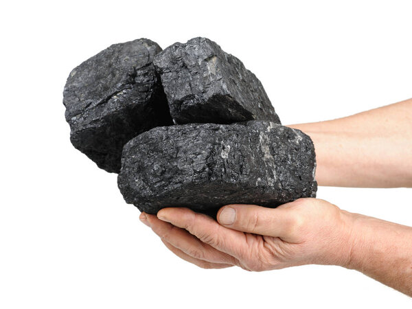 Руки держат куски угля на белом фоне.