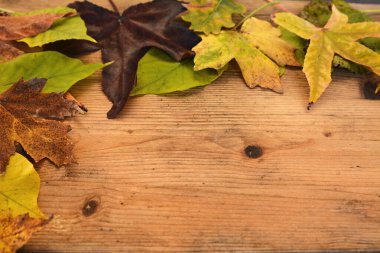 Ahşap arka planda sonbahar yaprakları 