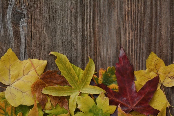 Autumn Leaves Wooden Background — Stock Photo, Image