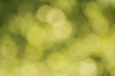 Bokeh ışıkları ile soyut arkaplan 