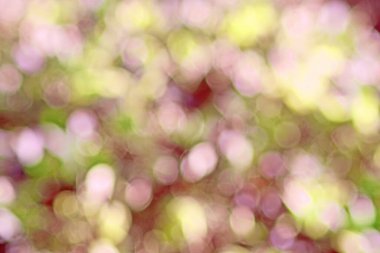 Bokeh ışıkları ile soyut arkaplan 