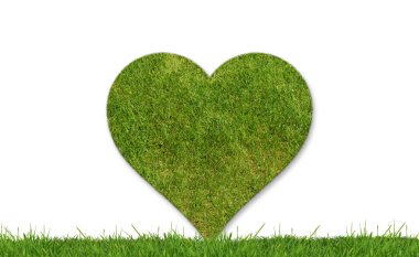 Ekoloji konsepti, yeşil doğa. Yeşil çimenler kalp şeklinde.
