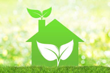 Ekoloji konsepti, duvarında yapraklı bitki olan sürdürülebilir ev şekli