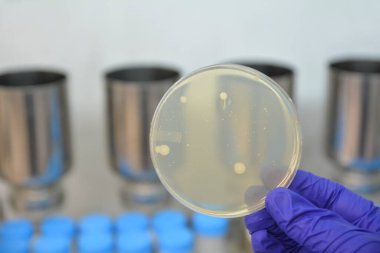 Laboratuvar ekipmanları, test tüpleri, kimyasal ve ilaç konsepti 