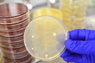 Laboratuvar ekipmanları, test tüpleri, kimyasal ve ilaç konsepti 