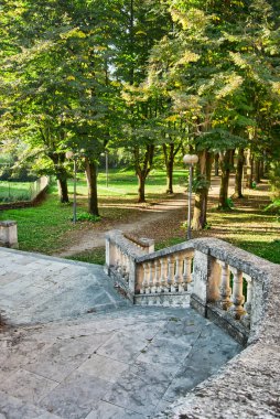 Parktaki eski merdivenlerin güzel manzarası