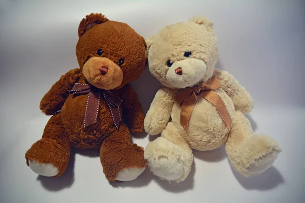 stock image two teddy bears sitting  on a white background